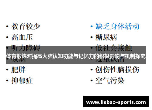 体育锻炼对提高大脑认知功能与记忆力的积极影响与机制探究